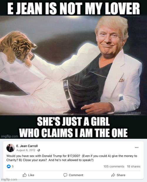 E. Jean is a Liar... Her own book proved it... | image tagged in e jean liar,corrupt clinton judge,denied president trump,due process | made w/ Imgflip meme maker