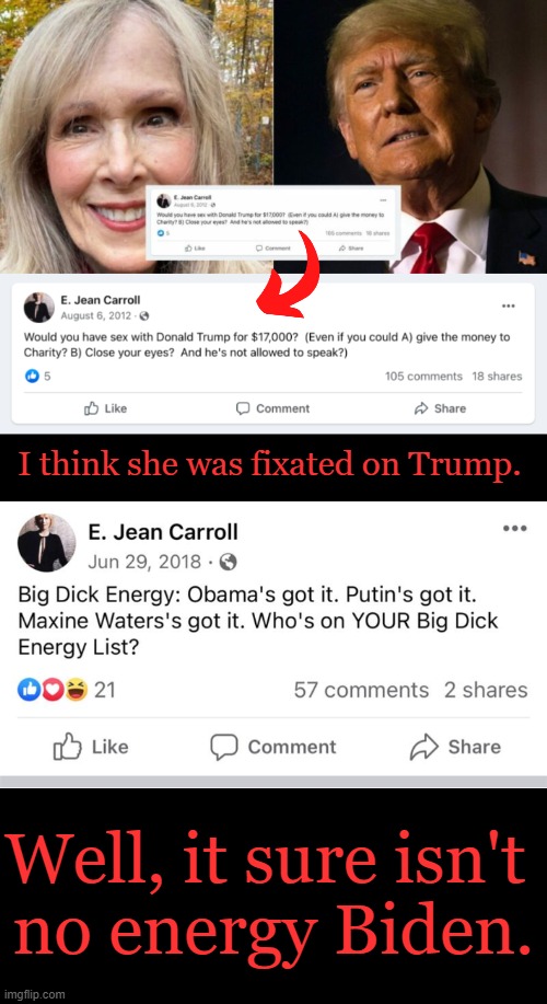 E. Jean has 'Dingbat Energy' | I think she was fixated on Trump. Well, it sure isn't 
no energy Biden. | image tagged in donald trump,strange woman,whack job,evidence,first world problems,political humor | made w/ Imgflip meme maker