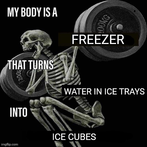 Ice cubes | FREEZER; WATER IN ICE TRAYS; ICE CUBES | image tagged in my body is a x that turns y into z,ice cubes,ice cube,memes,water,this is beyond science | made w/ Imgflip meme maker