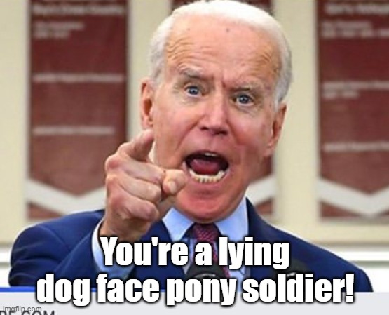Joe Biden no malarkey | You're a lying dog face pony soldier! | image tagged in joe biden no malarkey | made w/ Imgflip meme maker