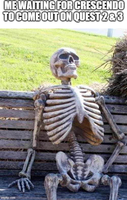 I can't be the only one right? | ME WAITING FOR CRESCENDO TO COME OUT ON QUEST 2 & 3 | image tagged in memes,waiting skeleton,rec room,vr | made w/ Imgflip meme maker