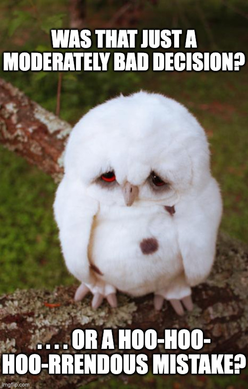 sad owl | WAS THAT JUST A MODERATELY BAD DECISION? . . . . OR A HOO-HOO- HOO-RRENDOUS MISTAKE? | image tagged in sad owl | made w/ Imgflip meme maker