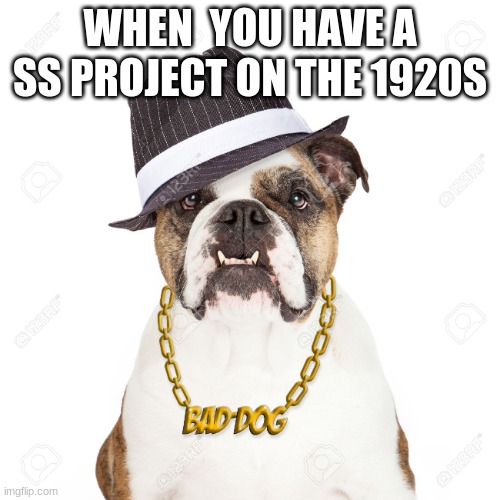 Al Capuppy | WHEN  YOU HAVE A SS PROJECT ON THE 1920S | image tagged in bad bulldog | made w/ Imgflip meme maker