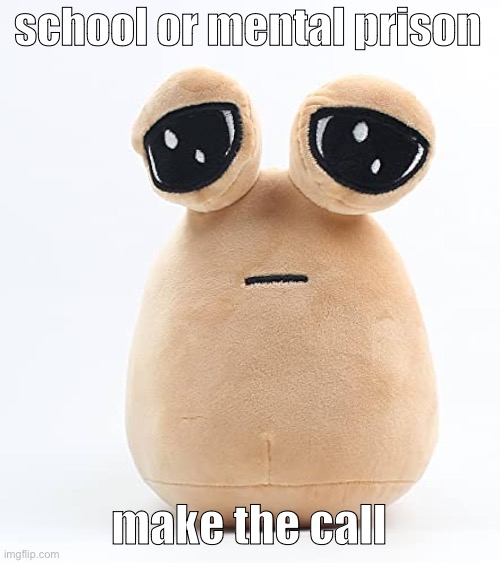 alien poo | school or mental prison; make the call | image tagged in alien poo | made w/ Imgflip meme maker