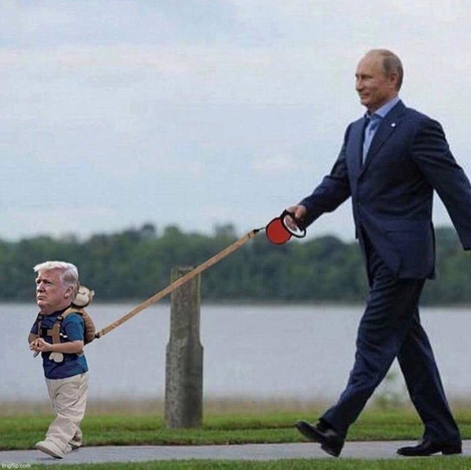 Putin trump leash | image tagged in putin trump leash | made w/ Imgflip meme maker