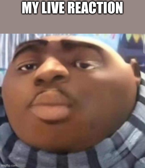 Gru | MY LIVE REACTION | image tagged in gru | made w/ Imgflip meme maker