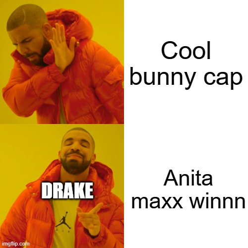Drake Hotline Bling Meme | Cool bunny cap; Anita maxx winnn; DRAKE | image tagged in memes,drake hotline bling,drake,fun,funny memes | made w/ Imgflip meme maker