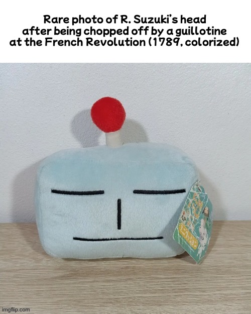 title | Rare photo of R. Suzuki’s head after being chopped off by a guillotine at the French Revolution (1789, colorized) | image tagged in french revolution,r suzuki,head | made w/ Imgflip meme maker