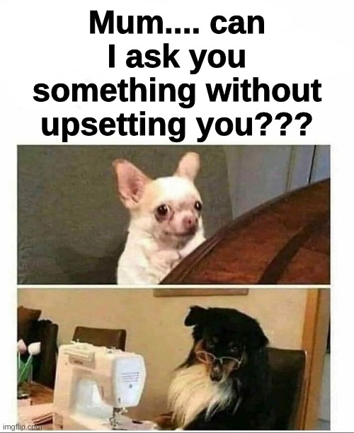 Mum is gonna be throwing a wobbly yeah? | Mum.... can I ask you something without upsetting you??? | image tagged in mum | made w/ Imgflip meme maker