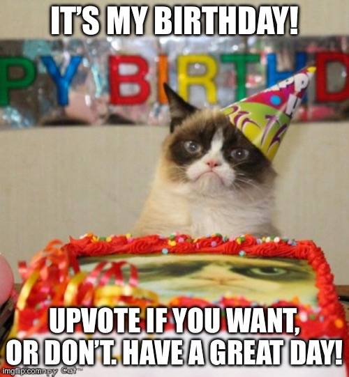 =3 | IT’S MY BIRTHDAY! UPVOTE IF YOU WANT, OR DON’T. HAVE A GREAT DAY! | image tagged in memes,grumpy cat birthday,grumpy cat | made w/ Imgflip meme maker