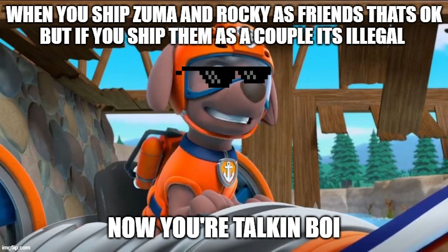 PAW Patrol Now You're Talking | WHEN YOU SHIP ZUMA AND ROCKY AS FRIENDS THATS OK
BUT IF YOU SHIP THEM AS A COUPLE ITS ILLEGAL; NOW YOU'RE TALKIN BOI | image tagged in paw patrol now you're talking | made w/ Imgflip meme maker