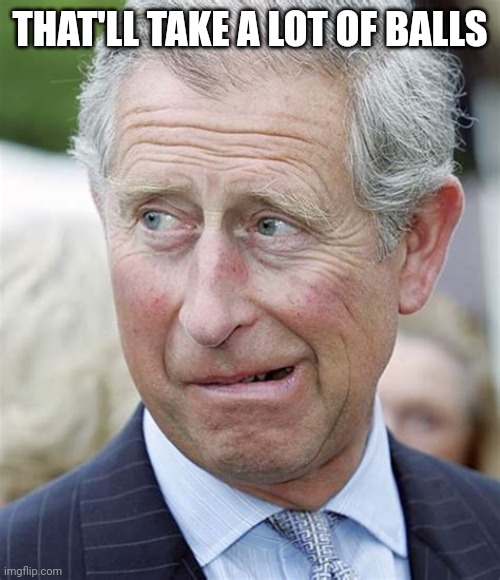 PRINCE CHARLES AGHAST FACE | THAT'LL TAKE A LOT OF BALLS | image tagged in prince charles aghast face | made w/ Imgflip meme maker