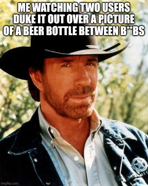 Chuck Norris | ME WATCHING TWO USERS DUKE IT OUT OVER A PICTURE OF A BEER BOTTLE BETWEEN B**BS | image tagged in memes,chuck norris | made w/ Imgflip meme maker
