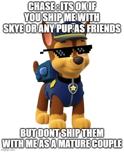 Chase from Paw Patrol | CHASE : ITS OK IF YOU SHIP ME WITH SKYE OR ANY PUP AS FRIENDS; BUT DONT SHIP THEM WITH ME AS A MATURE COUPLE | image tagged in chase from paw patrol | made w/ Imgflip meme maker