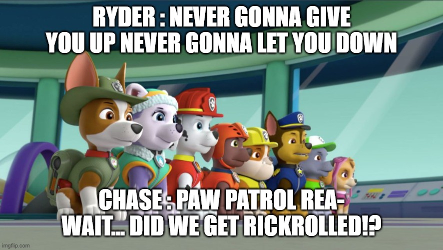 All 8 PAW Patrol Pups At The Lookout | RYDER : NEVER GONNA GIVE YOU UP NEVER GONNA LET YOU DOWN; CHASE : PAW PATROL REA- WAIT... DID WE GET RICKROLLED!? | image tagged in all 8 paw patrol pups at the lookout | made w/ Imgflip meme maker