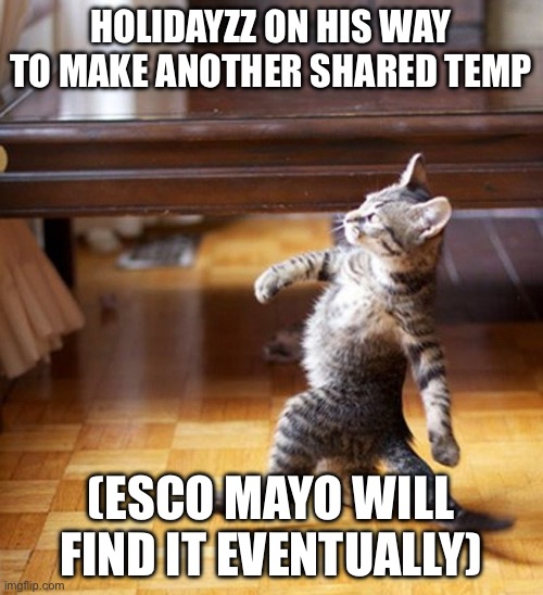 Cat Walking Like A Boss | HOLIDAYZZ ON HIS WAY TO MAKE ANOTHER SHARED TEMP; (ESCO MAYO WILL FIND IT EVENTUALLY) | image tagged in cat walking like a boss | made w/ Imgflip meme maker