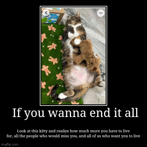 Motivation to live | If you wanna end it all | Look at this kitty and realize how much more you have to live for, all the people who would miss you, and all of u | image tagged in cat,live | made w/ Imgflip demotivational maker