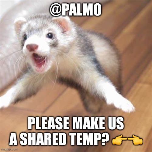 They seriously look amazing | @PALMO; PLEASE MAKE US A SHARED TEMP? 👉👈 | image tagged in jumping ferret | made w/ Imgflip meme maker