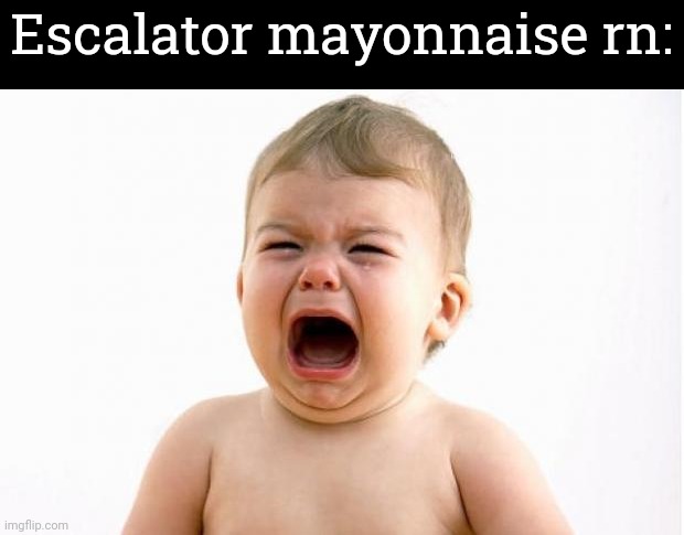 Lmao | Escalator mayonnaise rn: | image tagged in baby crying | made w/ Imgflip meme maker