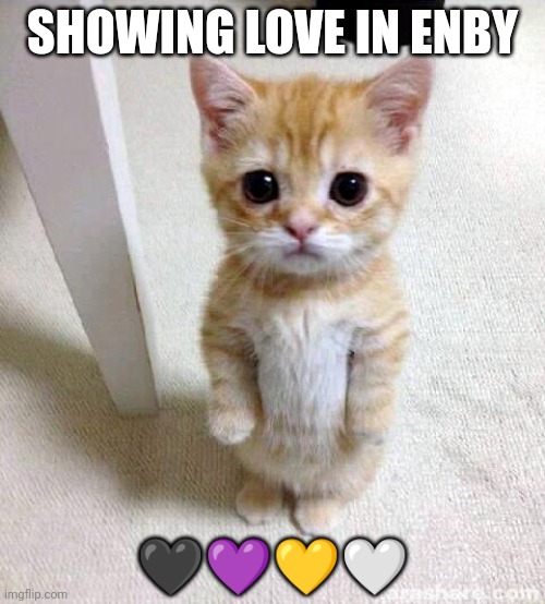 SHOWING LOVE IN ENBY ???? | image tagged in memes,cute cat | made w/ Imgflip meme maker
