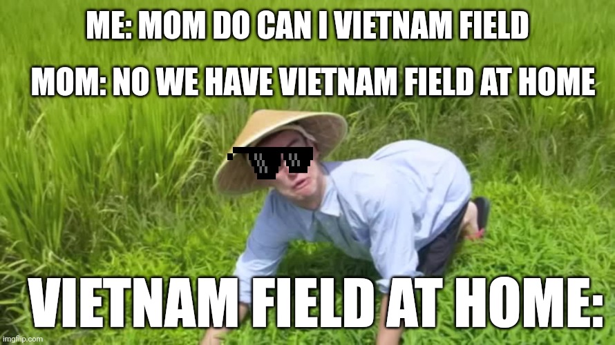 Vietnam | ME: MOM DO CAN I VIETNAM FIELD; MOM: NO WE HAVE VIETNAM FIELD AT HOME; VIETNAM FIELD AT HOME: | image tagged in welcome to the rice fields,rice | made w/ Imgflip meme maker
