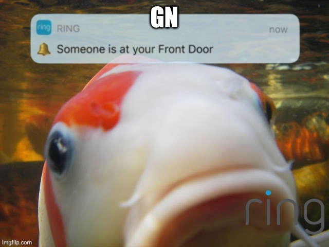 Someone is at your front door | GN | image tagged in someone is at your front door | made w/ Imgflip meme maker