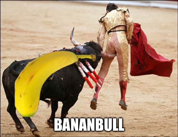 Consequences of Stupidity | BANANBULL | image tagged in consequences of stupidity | made w/ Imgflip meme maker