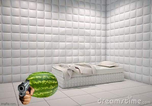 insane asylum pillow room | image tagged in insane asylum pillow room | made w/ Imgflip meme maker