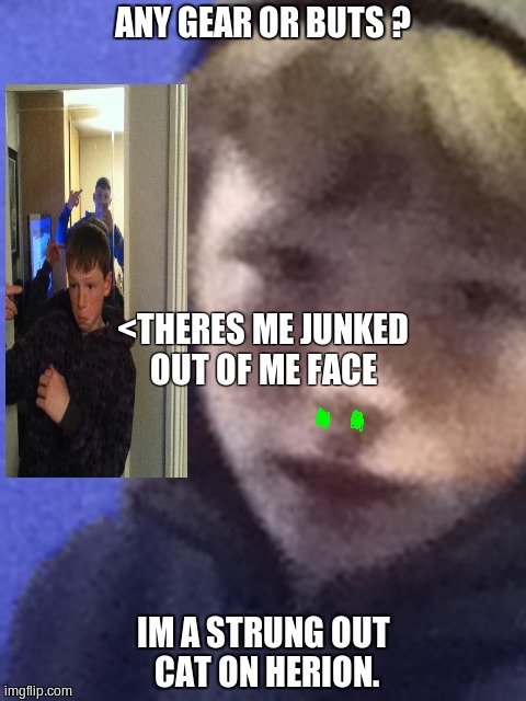 ANY GEAR OR BUTS ? IM A STRUNG OUT CAT ON HERION. <THERES ME JUNKED OUT OF ME FACE | made w/ Imgflip meme maker