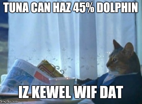 Fish schmish | TUNA CAN HAZ 45% DOLPHIN IZ KEWEL WIF DAT | image tagged in memes,i should buy a boat cat | made w/ Imgflip meme maker