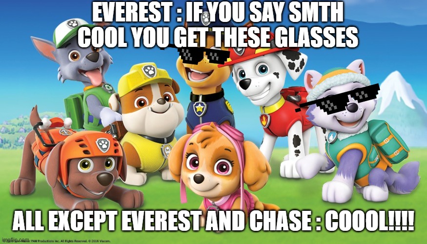 PAW Patrol | EVEREST : IF YOU SAY SMTH COOL YOU GET THESE GLASSES; ALL EXCEPT EVEREST AND CHASE : COOOL!!!! | image tagged in paw patrol | made w/ Imgflip meme maker