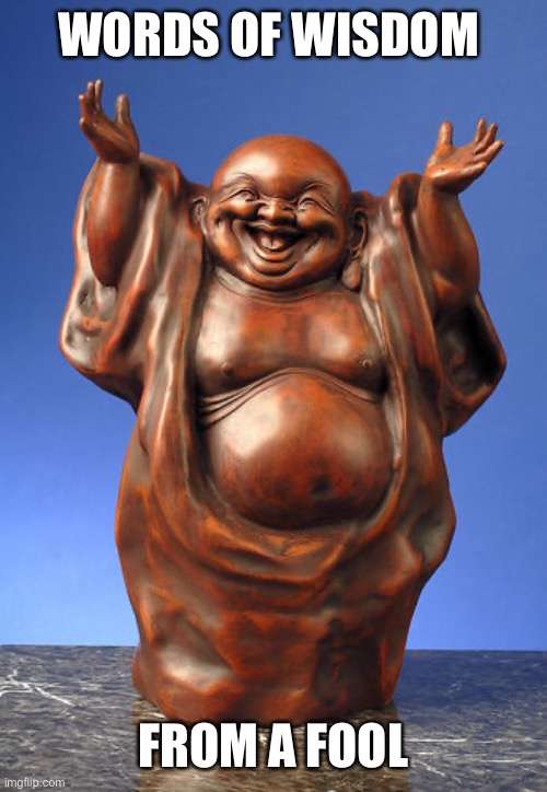 Laughing Buddha | WORDS OF WISDOM FROM A FOOL | image tagged in laughing buddha | made w/ Imgflip meme maker