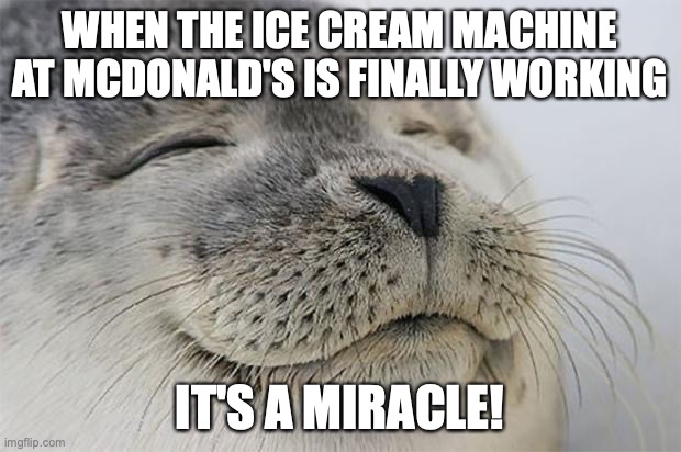 Satisfied Seal | WHEN THE ICE CREAM MACHINE AT MCDONALD'S IS FINALLY WORKING; IT'S A MIRACLE! | image tagged in memes,satisfied seal | made w/ Imgflip meme maker