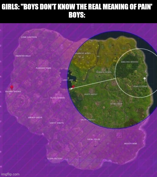 when you're far away from the safe zone | GIRLS: "BOYS DON'T KNOW THE REAL MEANING OF PAIN'
BOYS: | image tagged in fortnite | made w/ Imgflip meme maker