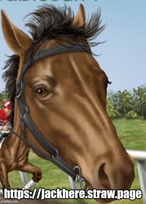 Made a website | https://jackhere.straw.page | image tagged in big horse | made w/ Imgflip meme maker