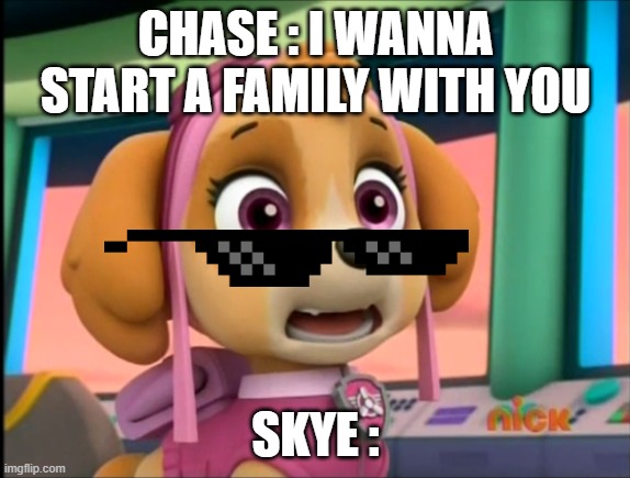 Shocked Skye | CHASE : I WANNA START A FAMILY WITH YOU; SKYE : | image tagged in shocked skye | made w/ Imgflip meme maker