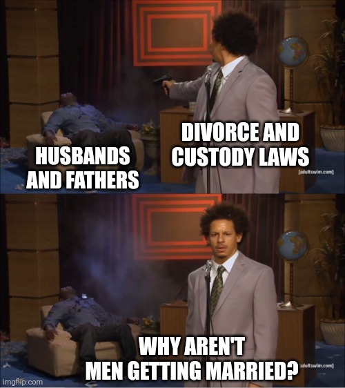 Who Killed Hannibal | DIVORCE AND CUSTODY LAWS; HUSBANDS AND FATHERS; WHY AREN'T MEN GETTING MARRIED? | image tagged in memes,who killed hannibal | made w/ Imgflip meme maker