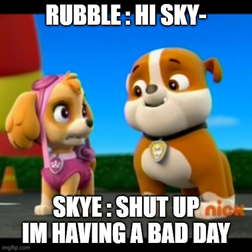 Skye Mad at Rubble | RUBBLE : HI SKY-; SKYE : SHUT UP IM HAVING A BAD DAY | image tagged in skye mad at rubble | made w/ Imgflip meme maker