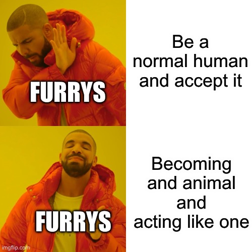 Drake Hotline Bling | Be a normal human and accept it; FURRYS; Becoming and animal and acting like one; FURRYS | image tagged in memes,drake hotline bling | made w/ Imgflip meme maker