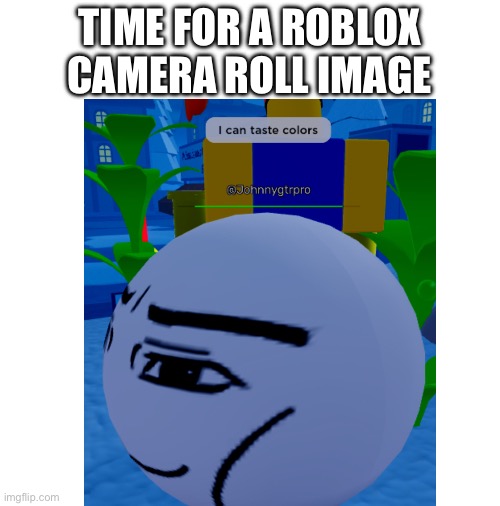 Here ya go | TIME FOR A ROBLOX CAMERA ROLL IMAGE | image tagged in oh the misery,roblox,camera roll | made w/ Imgflip meme maker