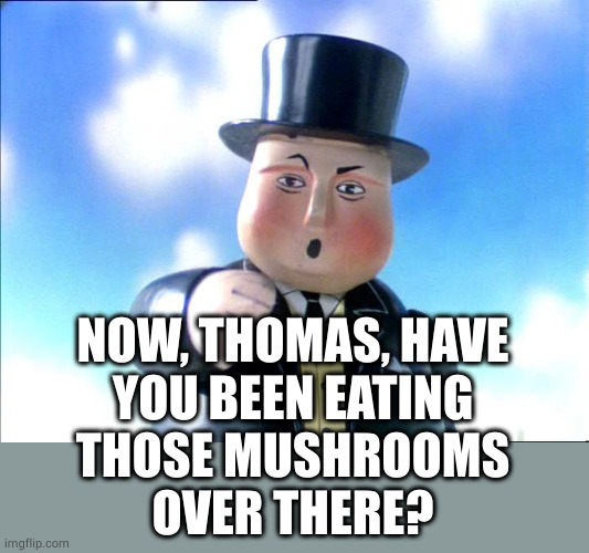 Sir Topham Hat | NOW, THOMAS, HAVE
YOU BEEN EATING
THOSE MUSHROOMS
OVER THERE? | image tagged in sir topham hat | made w/ Imgflip meme maker