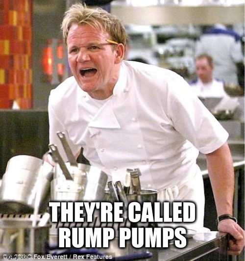Chef Gordon Ramsay Meme | THEY'RE CALLED
RUMP PUMPS | image tagged in memes,chef gordon ramsay | made w/ Imgflip meme maker