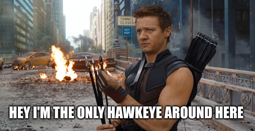 Hawkeye | HEY I'M THE ONLY HAWKEYE AROUND HERE | image tagged in hawkeye | made w/ Imgflip meme maker