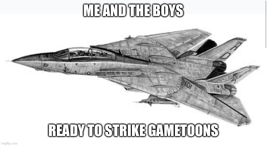 We are gonna air strike gametoons | ME AND THE BOYS; READY TO STRIKE GAMETOONS | image tagged in f 14 tomcat | made w/ Imgflip meme maker