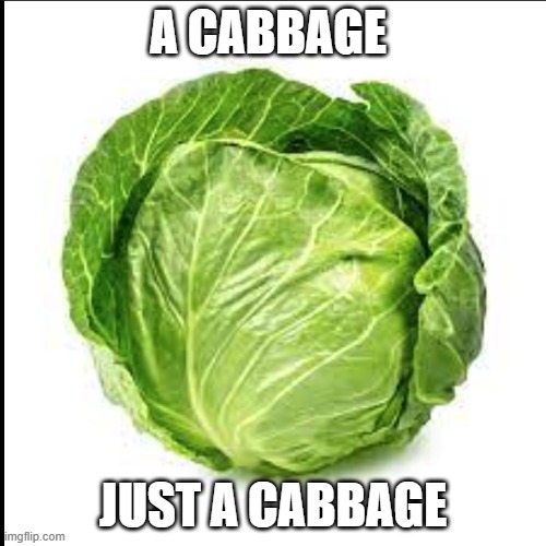 i hope it gets famouz | A CABBAGE; JUST A CABBAGE | image tagged in famous | made w/ Imgflip meme maker