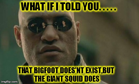 Matrix Morpheus | WHAT IF I TOLD YOU. . . . .  THAT BIGFOOT DOES'NT EXIST,BUT THE GIANT SQUID DOES | image tagged in memes,matrix morpheus | made w/ Imgflip meme maker