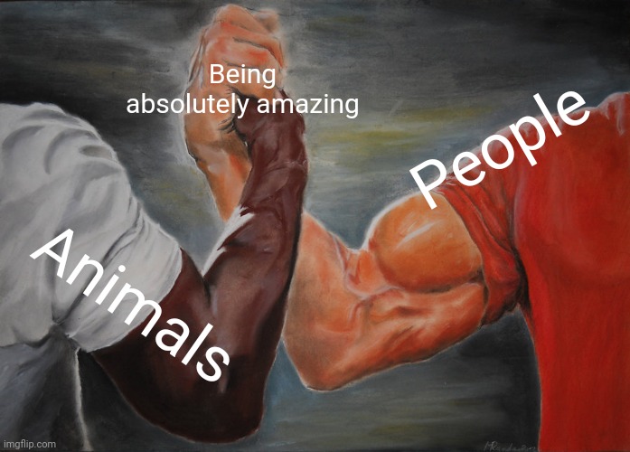 C | Being absolutely amazing; People; Animals | image tagged in memes,epic handshake | made w/ Imgflip meme maker