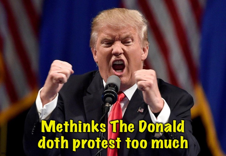 Trump Screaming | Methinks The Donald doth protest too much | image tagged in trump screaming | made w/ Imgflip meme maker