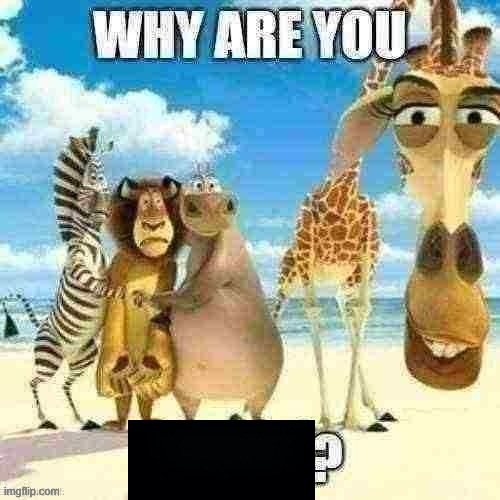 why are you black? | image tagged in why are you black | made w/ Imgflip meme maker