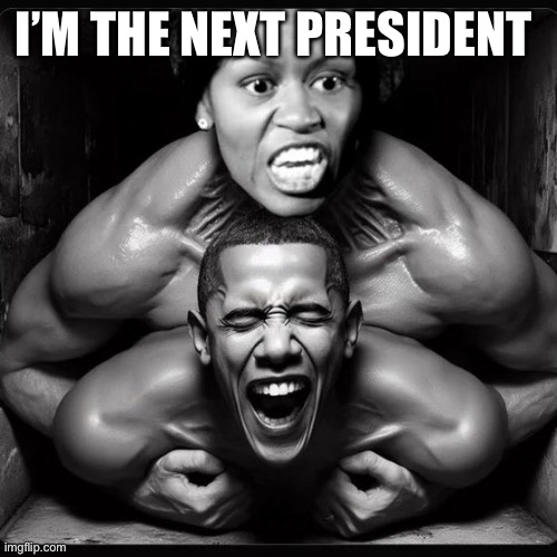 I’m your new President bi@@h | I’M THE NEXT PRESIDENT | image tagged in it s our democracy,memes,funny | made w/ Imgflip meme maker